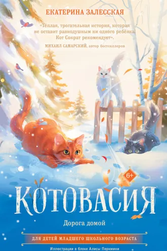 Обложка книги «Котовасия. Дорога домой»