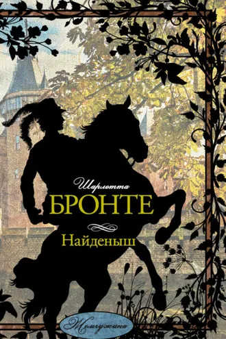Обложка книги «Найденыш»