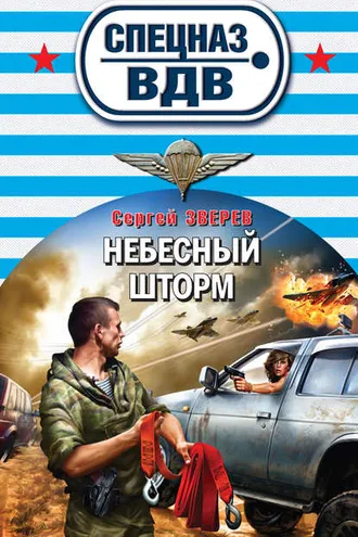 Обложка книги «Небесный шторм»