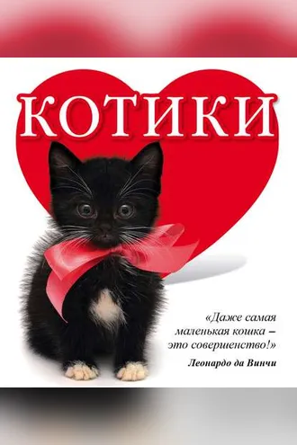 Обложка книги «Котики»
