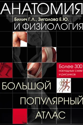 Обложка книги «Анатомия и физиология. Большой популярный атлас»