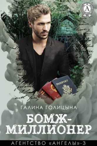 Обложка книги «Бомж-миллионер»