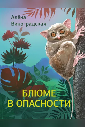 Обложка книги «Блюме в опасности»