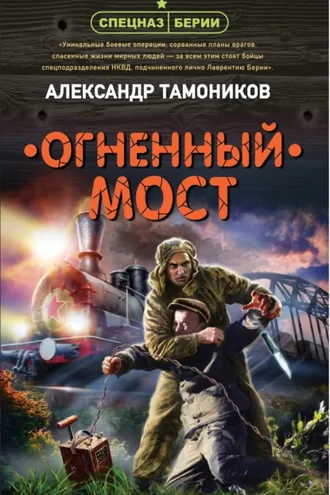 Обложка книги «Огненный мост»