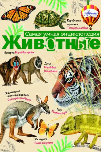 Обложка книги «Животные»