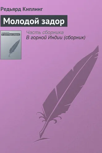 Обложка книги «Молодой задор»