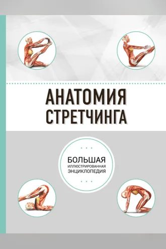 Обложка книги «Анатомия стретчинга»