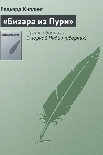 Обложка книги ««Бизара из Пури»»