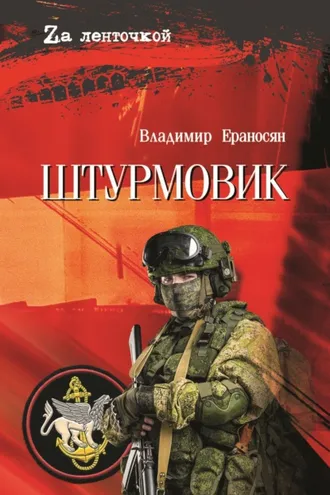 Обложка книги «Штурмовик»
