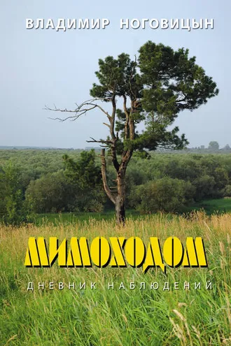 Обложка книги «Мимоходом. Дневник наблюдений»