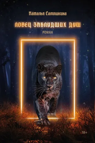 Обложка книги «Ловец заблудших душ»
