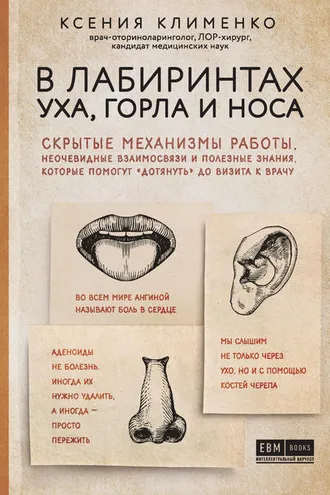 Обложка книги «В лабиринтах уха, горла и носа. Скрытые механизмы работы, неочевидные взаимосвязи и полезные знания, которые помогут «дотянуть» до визита к врачу»
