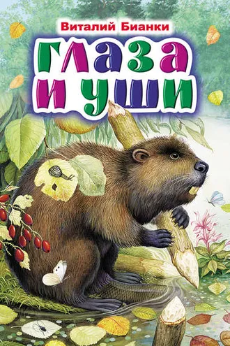Обложка книги «Глаза и уши»