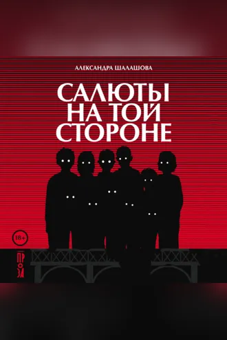 Обложка книги «Салюты на той стороне»