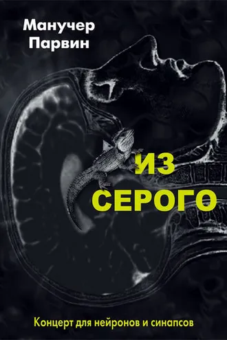 Обложка книги «Из серого. Концерт для нейронов и синапсов»
