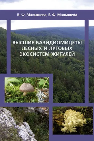 Обложка книги «Высшие базидиомицеты лесных и луговых экосистем Жигулей»