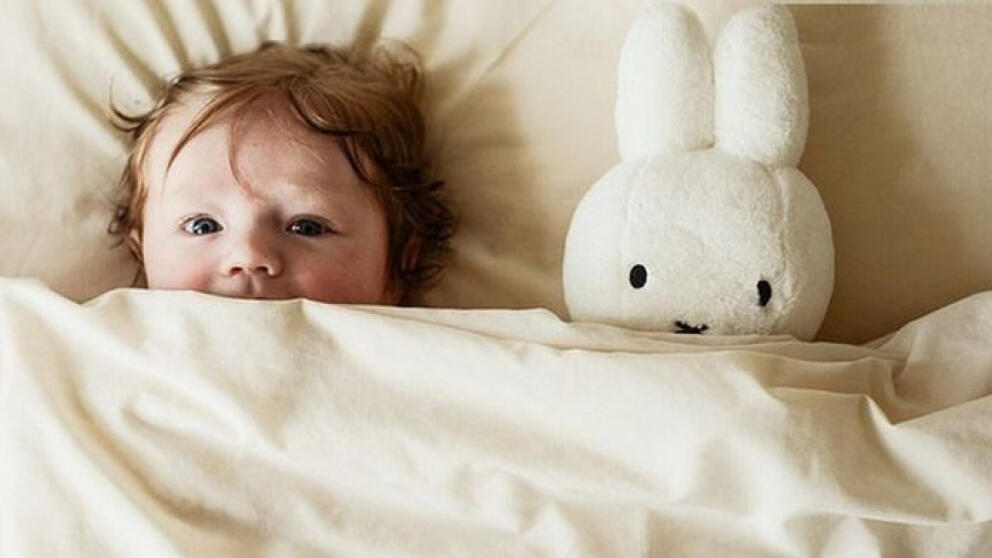 «Кролик, который хочет заснуть» — новый бестселлер на Amazon
