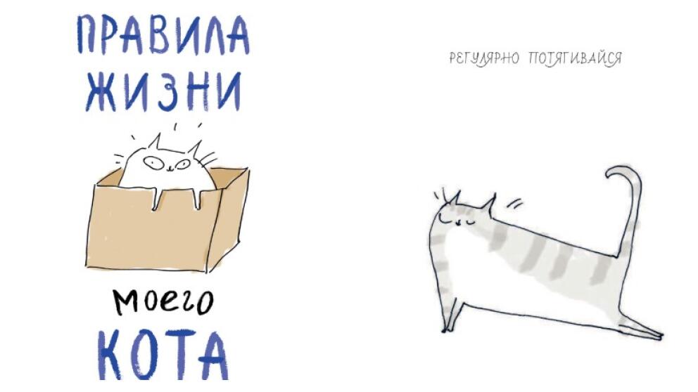 Джейми Шелман «Правила жизни моего кота»