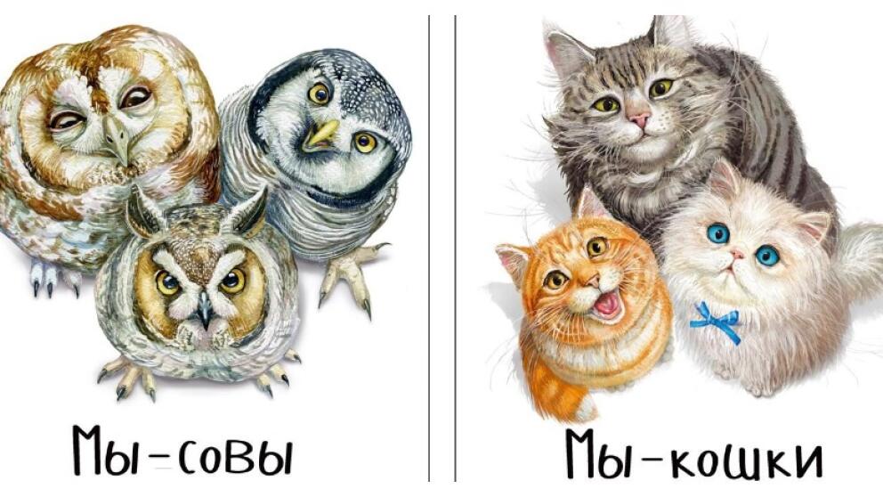 Наталья Преображенская «Мы – кошки» и «Мы – совы»