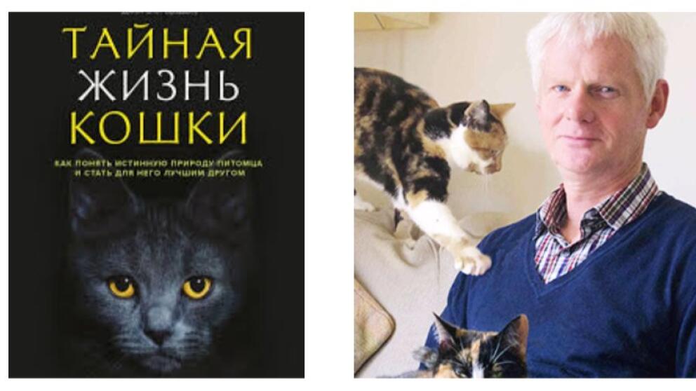 Джон Брэдшоу «Тайная жизнь кошки»