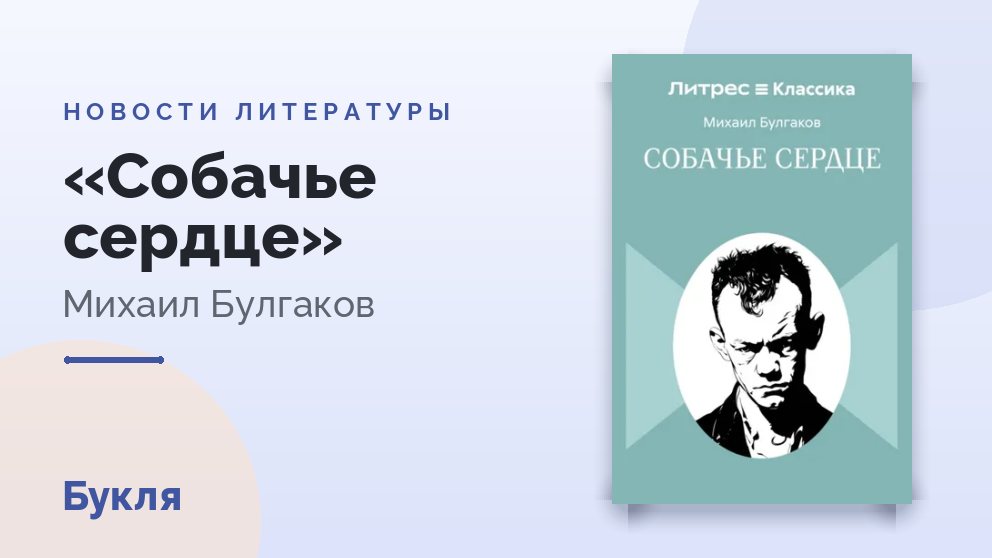 Студия, снявшая «Мастера и Маргариту», готовит новую экранизацию «Собачьего сердца»