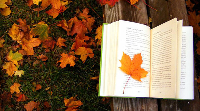 Осенний лист в книге