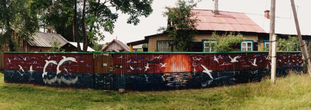 Забор, разрисованный в стиле книги Чайка по имени Джонатан Ливингстон