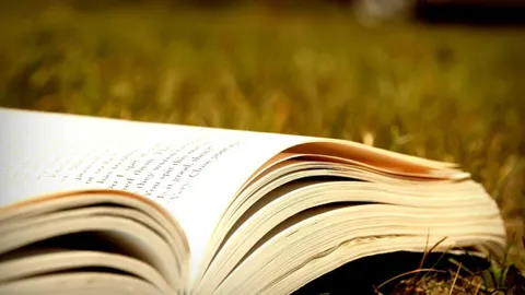 Книга