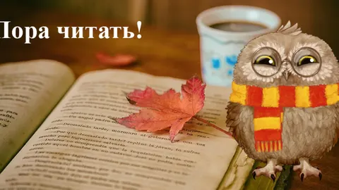 Сова Букля с книгой